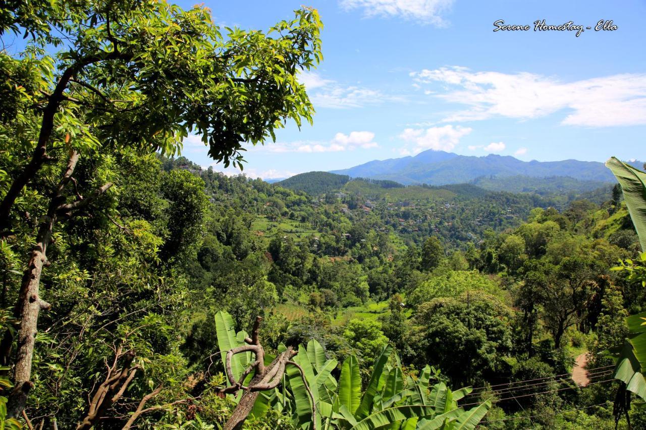 Serene Homestay Ella Exterior photo